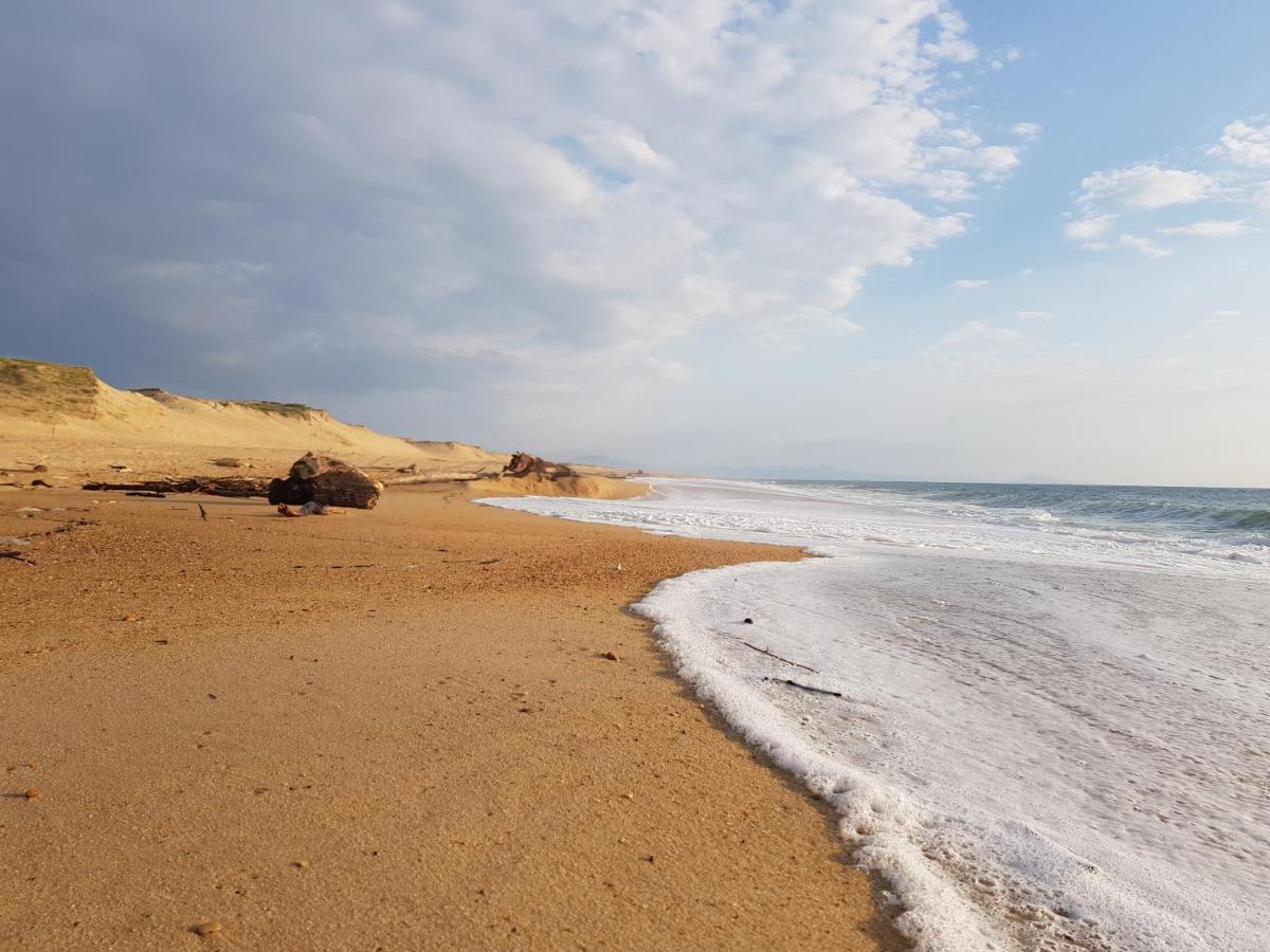 Shifting Sands Surf Camp Labenne Dış mekan fotoğraf