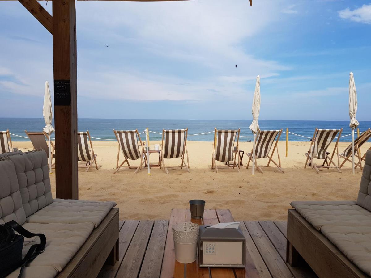 Shifting Sands Surf Camp Labenne Dış mekan fotoğraf